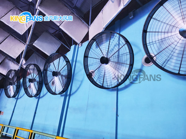 從悶熱到清涼：金凡斯大尺寸工業(yè)璧扇點亮海洋公園觀豚體驗